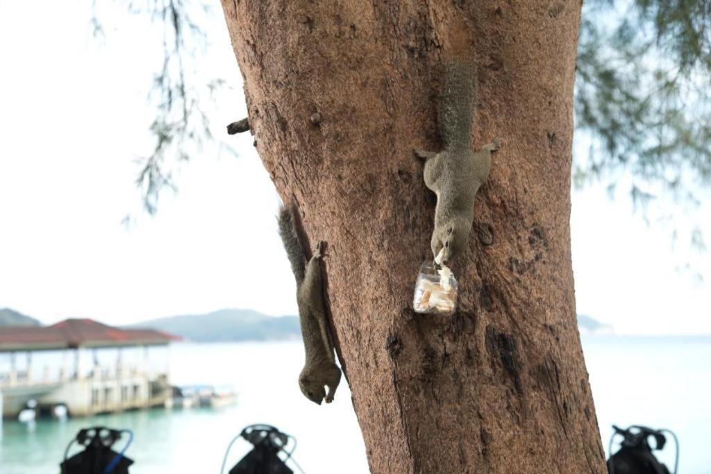 Perhentian Island Resort Екстер'єр фото