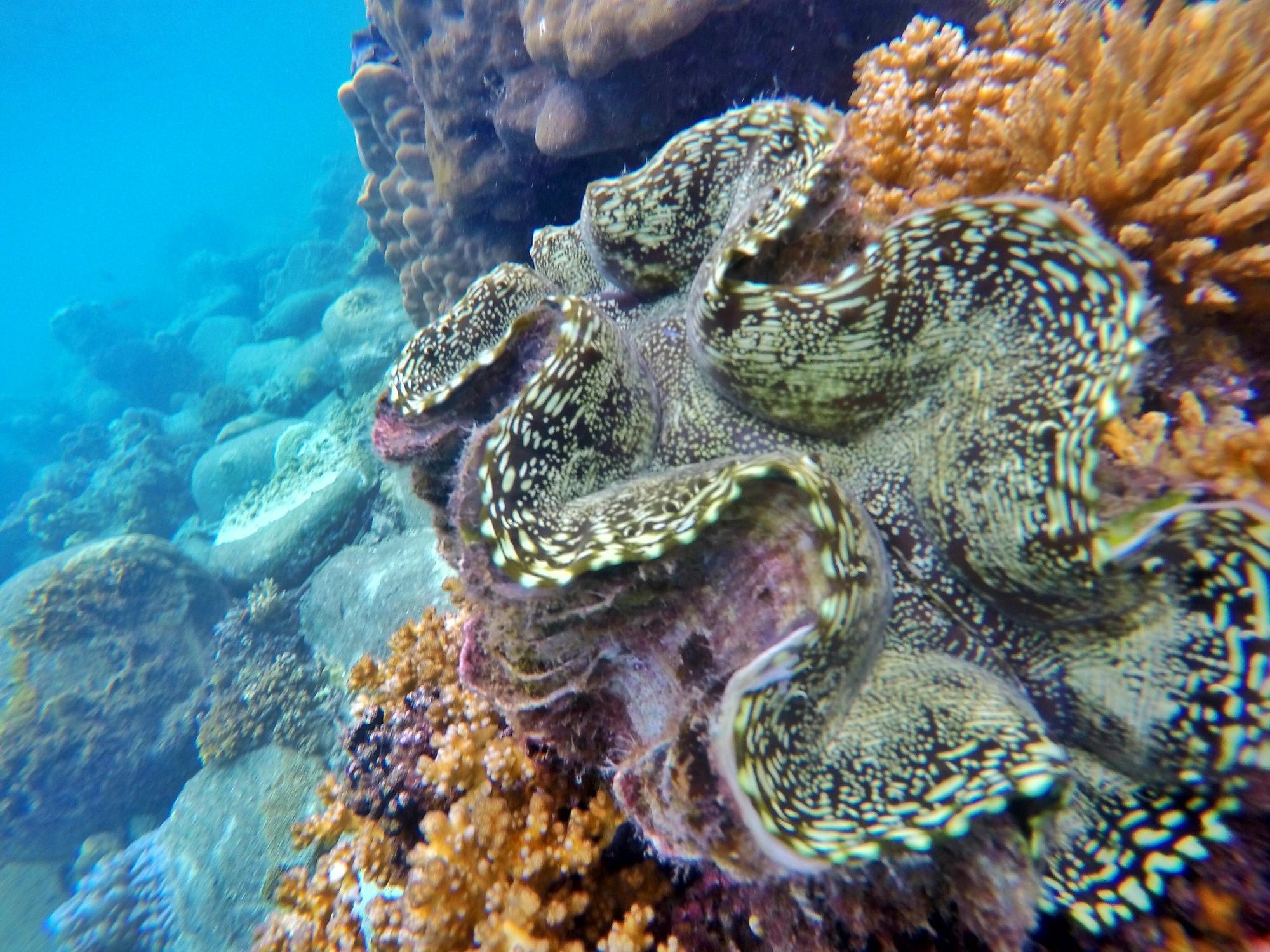 Perhentian Island Resort Екстер'єр фото